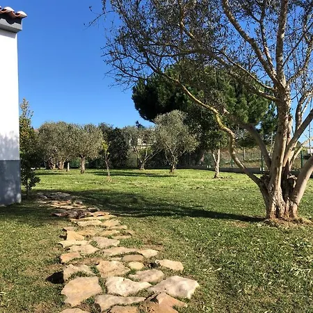 ホームステイ Casa Do Horizonte *