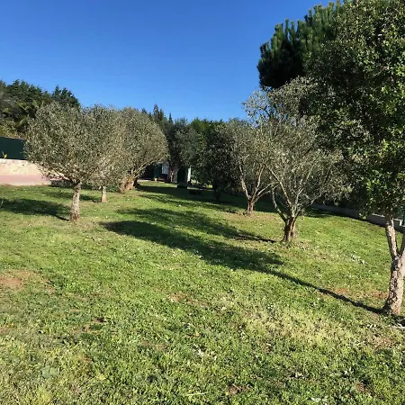 Casa Do Horizonte ホームステイ *