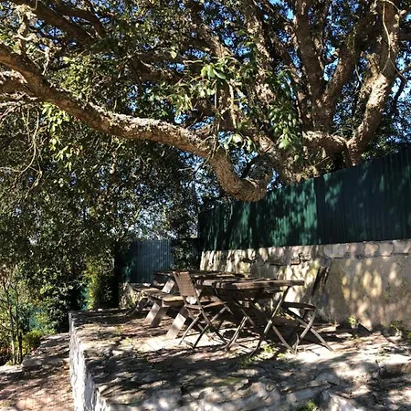 Casa Do Horizonte Séjour chez l'habitant Bombarral