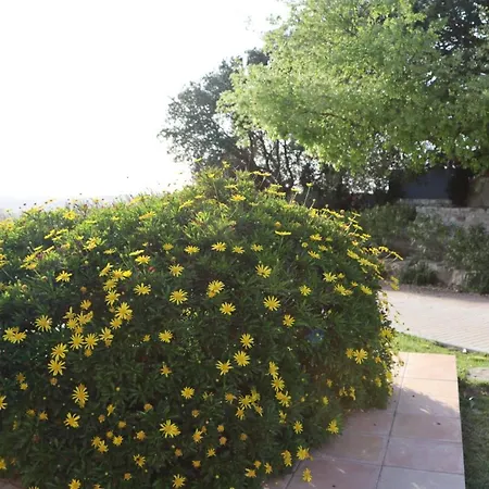 Casa Do Horizonte ホームステイ