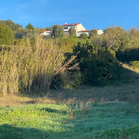 ホームステイ Casa Do Horizonte ボンバラル